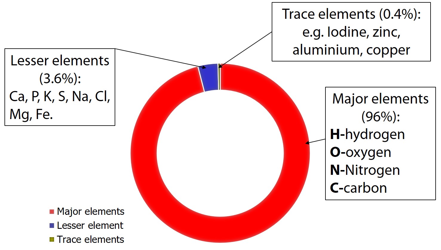 Figure 1 Chemical Elements in the Body