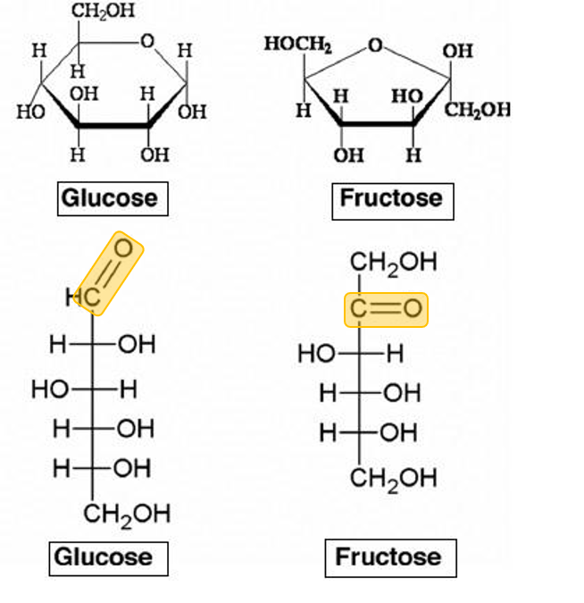 isomers