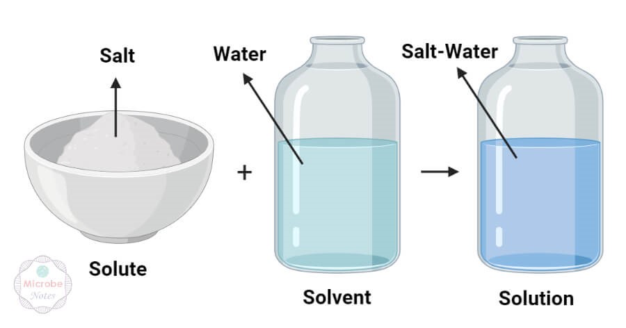 solute, solvent and solution