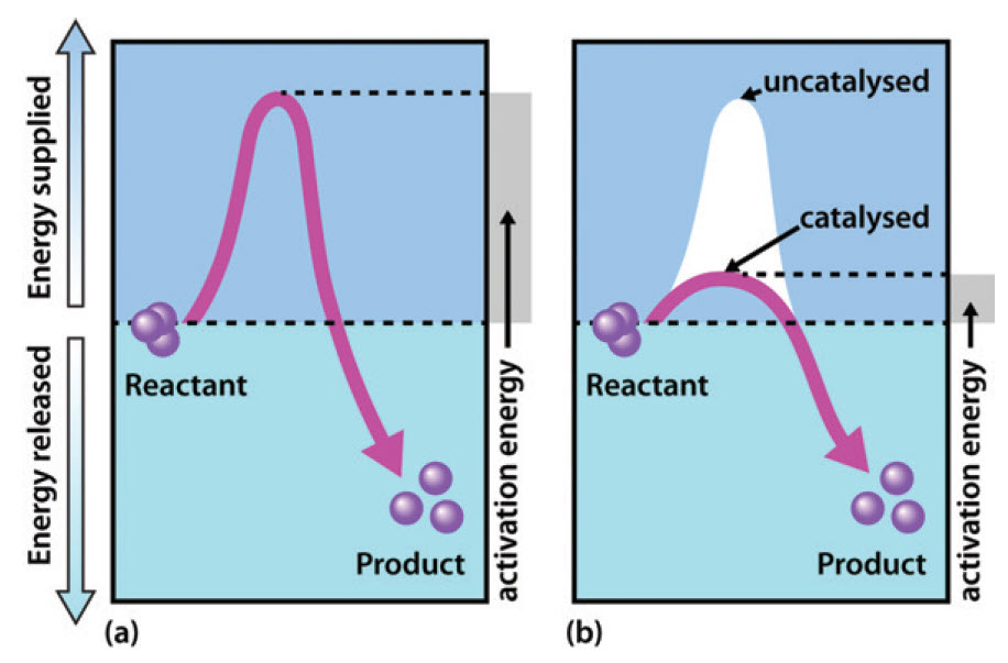 lowering activation