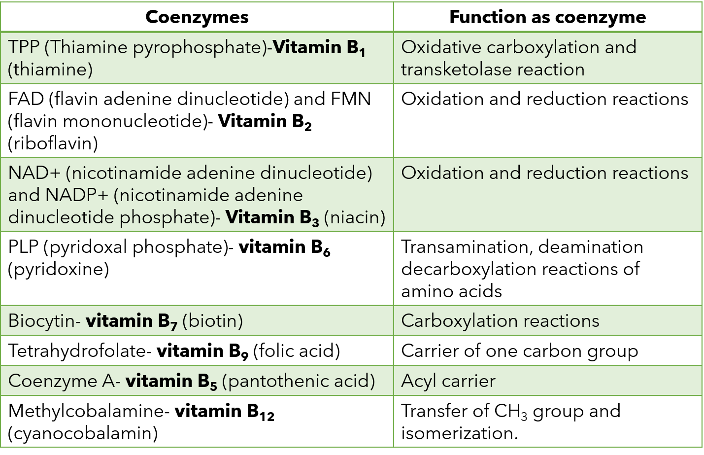 coenzymes and its function