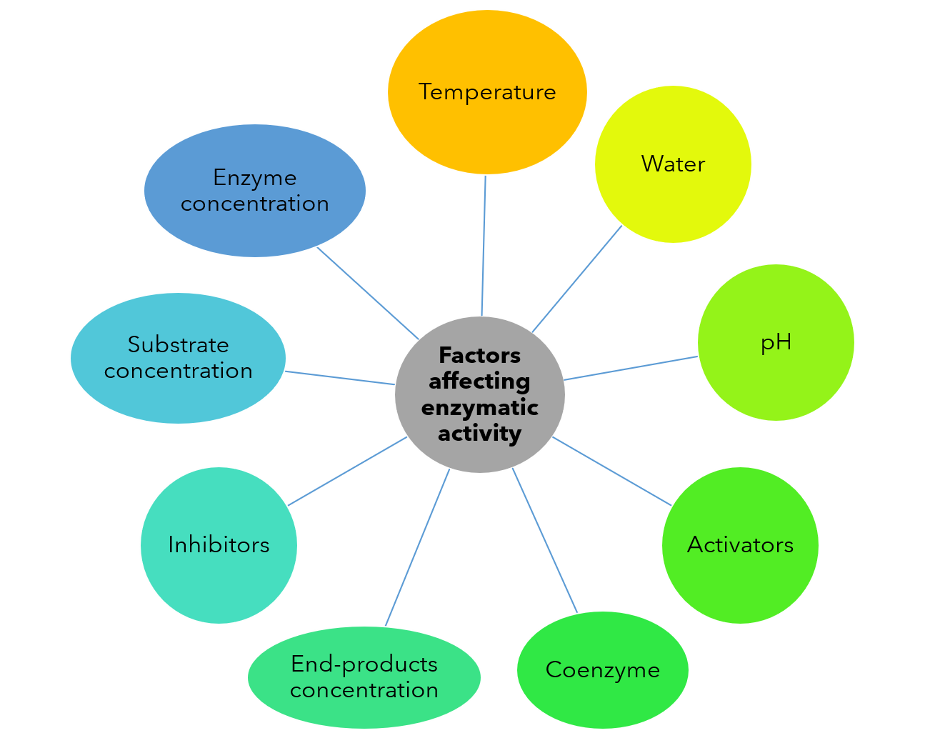 factors affecting the enzyme activity