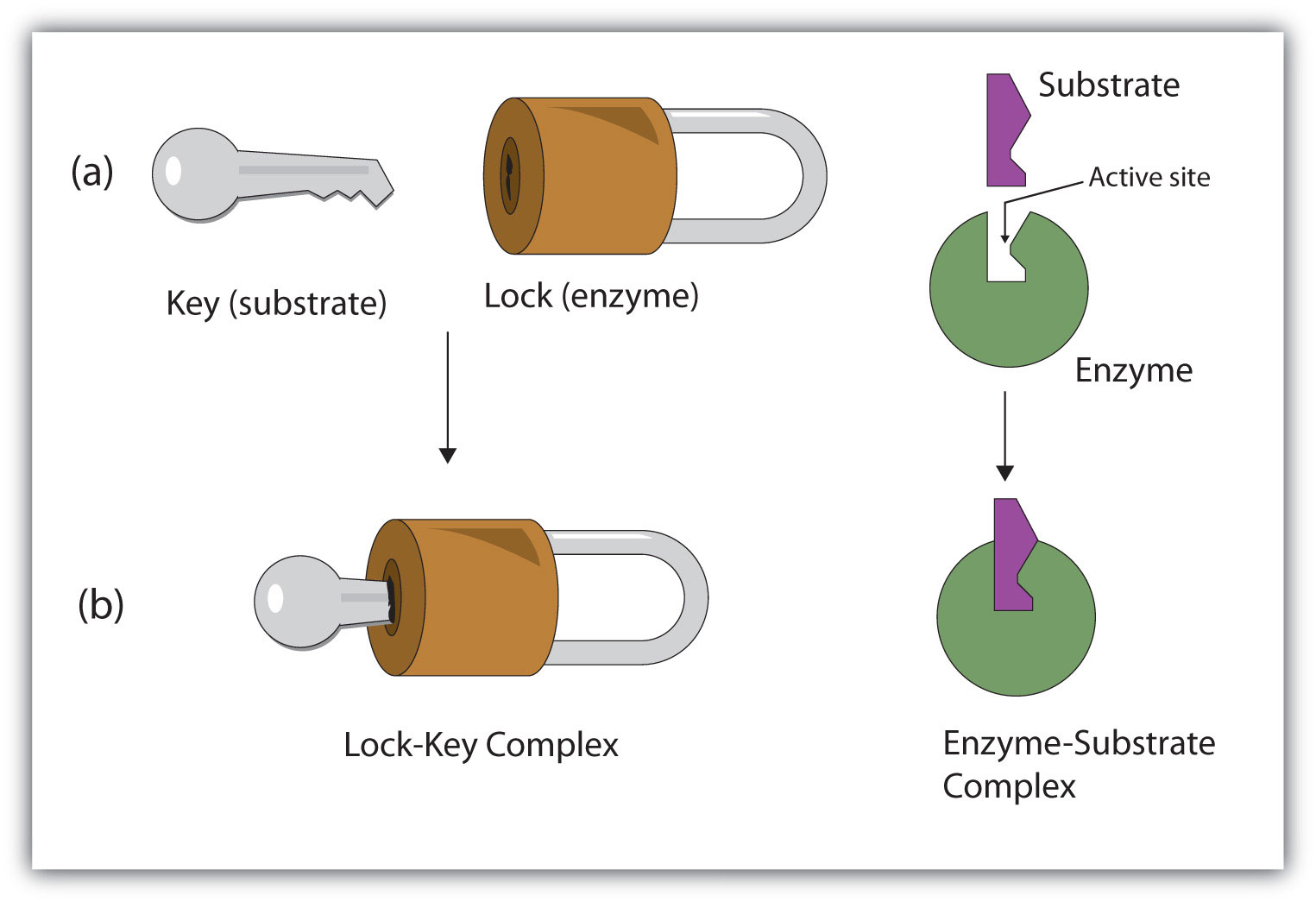 lock key model