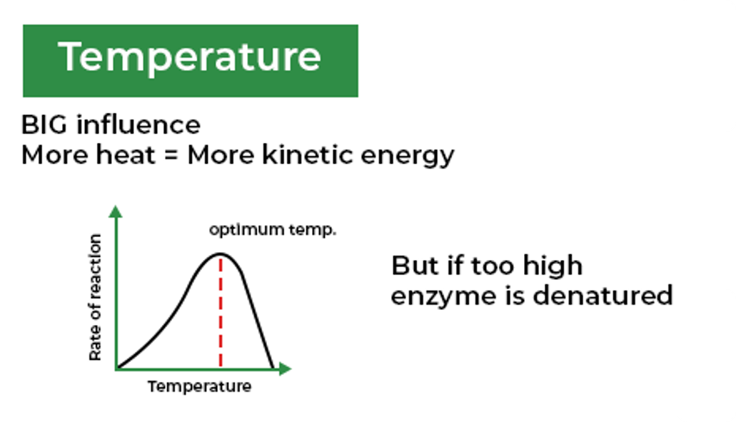 temperature