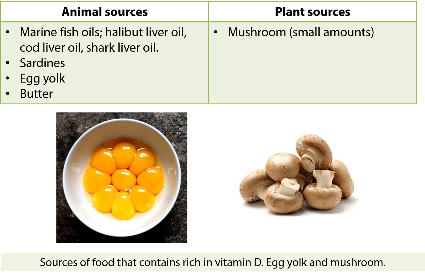 source of vitamin D