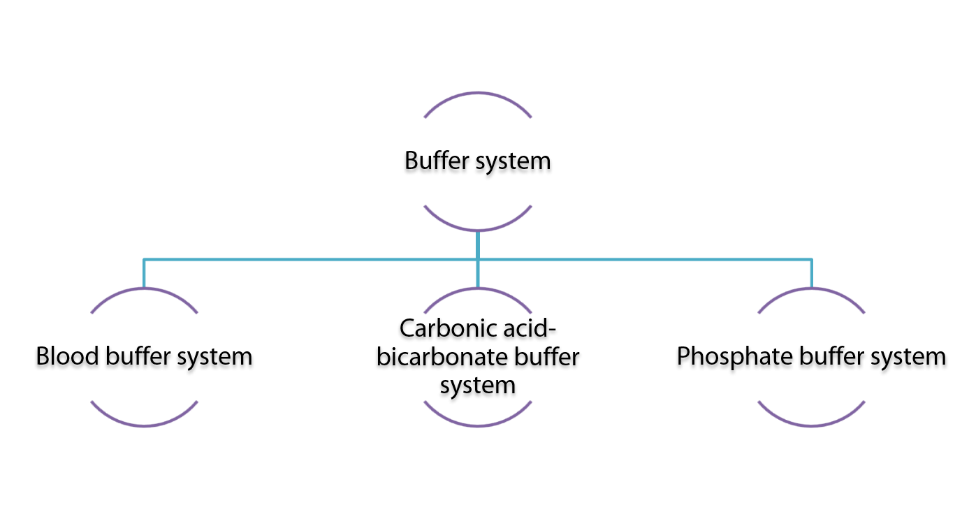 Buffer system