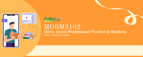 Micro Award Professional Practice in Business