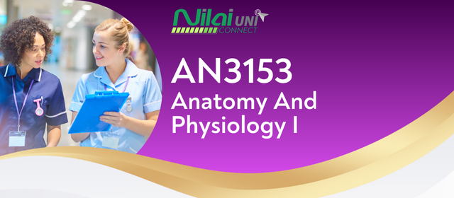 Anatomy And Physiology I