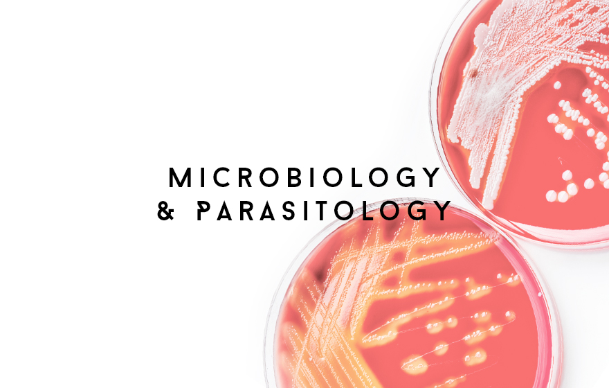 Microbiology And Parasitology