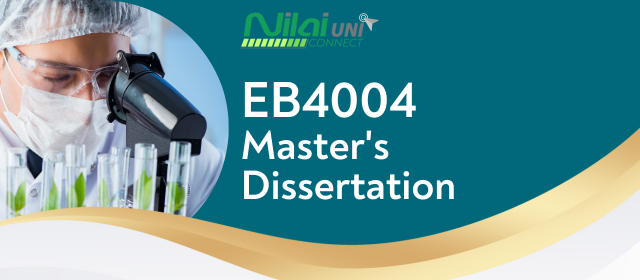 Master's Dissertation