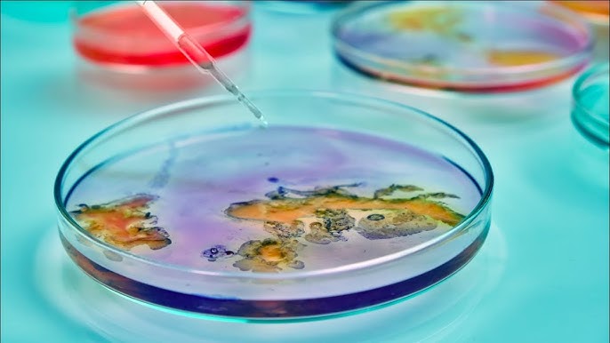 Microbiology And Parasitology